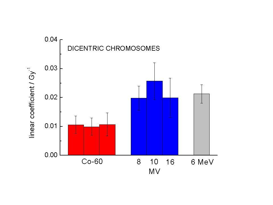 Abbildung 23: Lineare (α) Koeffizienten mit Standardfehler für die Induktion von dizentrischen Chromosomen in Lymphozyten eines Spenders nach Exposition mit Co-γ-Strahlung sowie verschiedenen