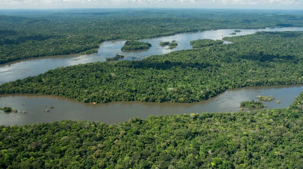 Kernbotschaften für die Zukunft der tropischen Regenwälder (eine Auswahl) Die gefährliche Schwelle des Klimawandels vermeiden Die Ausbeutung intakter tropischer Regenwälder einschränken Die