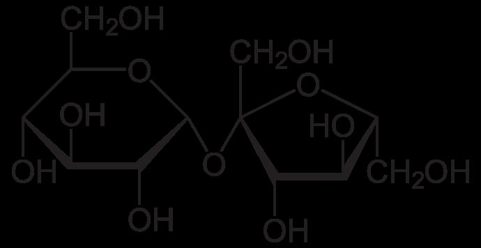 2 Weitere Schülerversuche 4 Abb. 5 Chemischer Aufbau von Saccharose. [2] Die Sachharose enthält viele Hydroxylgruppen.