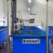 Aquakulturwirtschaft in der südlichen Ostseeregion Wissenschaft (4