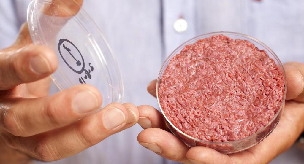 Fleisch aus dem Bioreaktor: Der erste im