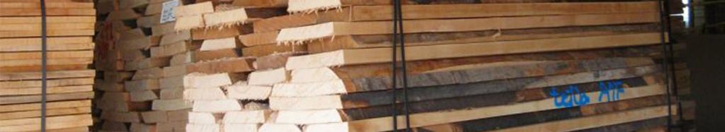 Forstprodukte: Erreichen Sie mit BRELOG termingerecht im Im- und Export die Zielorte für Ihre Holzprodukte vielfältiger Herkunft Wir