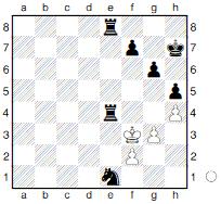 28.Td1 De4 29.Dxe4 Txe4 30.Kg2 g6 31.Ta4 Sc3 32.Tdxd4 Sxa4 33.Txd7 Sc5 34.Tc7 Se6 35.Tc2 h5 36.h4 Kh7 37.Kf3 Sd4+ 38.Kg2 Sxc2 39.Kf3 Se1# Schöne Geometrie!