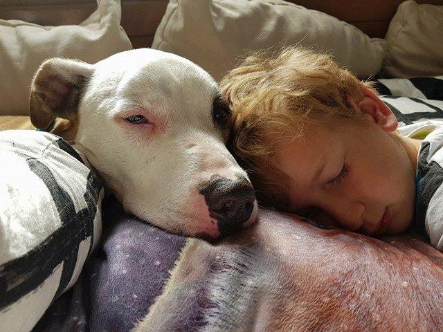 Unser Herz geht auf, wenn wir sehen wie sehr dieser verschmuste Hund die Nähe zu Menschen genießt und stundenlang mit den Kindern kuschelt.