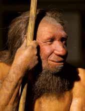 Das Neanderthal Museum nicht nur das kulturelle und wissenschaftliche