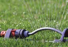 18 RASENPFLEGE RASENPFLEGE 19 Rasenpflege Vertikutieren Bewässern Damit der stattgründe Rasen schön bleibt, benötigt er regelmäßig Wasser.