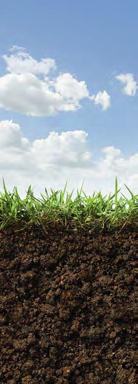 4 WISSENSWERTES ALLGEMEINE ANSPÜCHE 5 Wissenswertes rund um das Thema Rasen Wussten Sie, dass Rasen wertvolle ökologische Funktionen erfüllt?