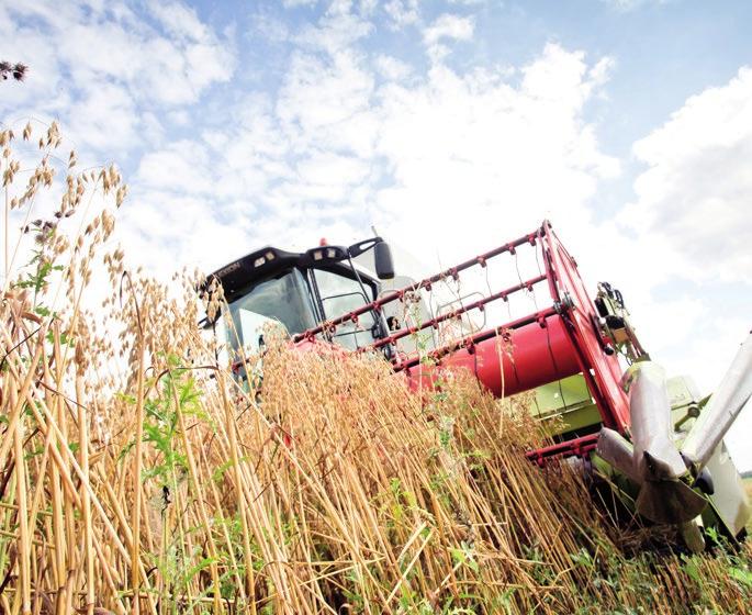 Fruchtfolge Unter Fruchtfolge versteht man den Wechsel der Ackerfrucht, die auf einem Feld angebaut wird.