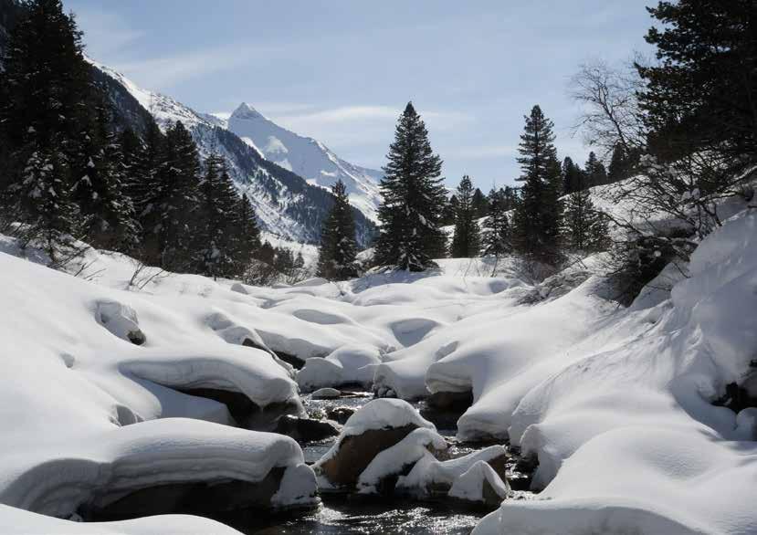 SCHNEESCHUHTOUREN - Unterwegs mit einem Nationalpark Ranger Die tiefverschneiten Landschaften im Nationalpark Hohe Tauern laden gerade zu ein, auch im Winter entdeckt zu werden.