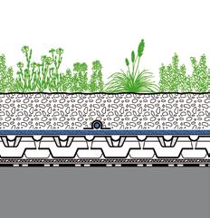 Systemaufbau Bewässerte Extensivbegrünung Kurzbeschreibung: - Artenvielfalt und langfristiger Begrünungserfolg werden durch zielgerichtete Unterflurbewässerung erzielt.