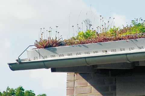 Extensive Dachbegrünung Systemaufbau Begrüntes Schrägdach Zwar werden Extensivbegrünungen meist auf Flachdächern aufgebracht, sie sind jedoch genauso auf geneigten Dächern einsetzbar.