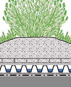 - Durch Modellierung der Substratoberfläche ergibt sich ein abwechslungsreiches Erscheinungsbild bei überschaubaren Kosten und mäßigem Pflegeaufwand. In Trockenperioden muss gewässert werden.