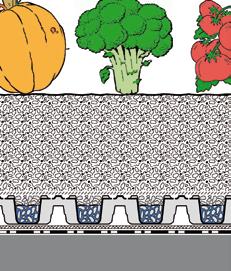 Systemaufbau Urban Farming Kurzbeschreibung: - Ein Aufbau mit mind. 20 cm ZinCo Systemerde Rasen ist geeignet für Gemüse und Früchte wie z. B.