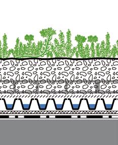 Sprossenmischung Sedumteppich Systemerde Sedumteppich Bei Bedarf mit Absturzsicherung Fallnet (Auflast beachten) Systemfilter SF Floradrain FD 25 Speicherschutzmatte SSM 45 ggf.