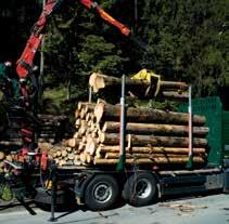 Holzeinschlag, die Holzvermarktung
