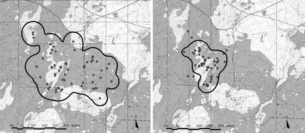 56 Im Vergleich zu bisherigen Ergebnissen zur Raumnutzung europäischer Waschbären in Waldhabitaten wiesen die telemetrierten Waschbären im Müritz-Nationalpark auffällig kleine Aktionsräume auf.