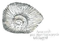 Verwandte des Ammoniten sind, den Pfarrer Anton Frommelt im Steinbruch bei Ruggell