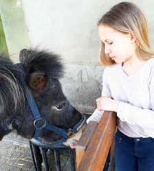 Fotos: Annabell Roßfeldt Eine tierisch schöne Freundschaft Auf dem Rücken der Pferde einfach davonreiten! Dieses Gefühl kennen viele Pferdenarren.