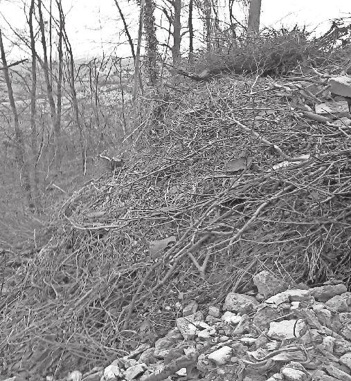 Lochwäldele unterhalb des Dürrenberges abgelagert wurde, weisen wir darauf hin, dass die Entsorgung von Gartenabfällen und auch das Abladen von Bauschutt in der freien Natur nicht gestattet ist.