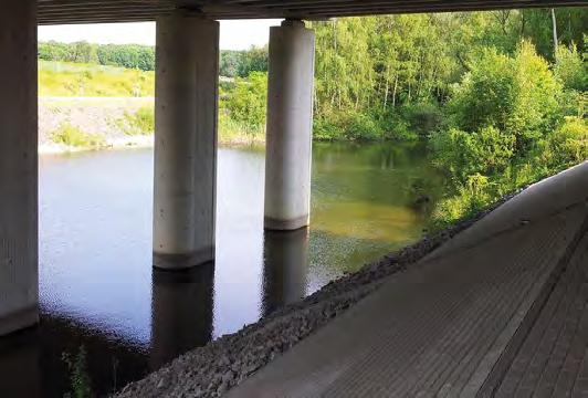 Avoiding traps and barriers at wildlife crossings Wildlife crossings are not to guide species towards danger points; for example, should a motorway be bridged and the wildlife crossing merge onto a