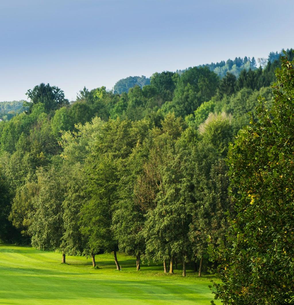 GREENFEE SPECIAL täglich ab 14.30 Uhr: Golfplatz Lederbach St. Wolfgang Golfplatz Uttlau Porsche Golf Course 29, 1 34, 1 44, 1 GOLF UNLIMITED!