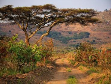Das kleine und noch sehr unbekannte Malawi, welches von Sambia, Mosambik und Tansania umschlossen ist, gehört zu den am dichtesten besiedelten Staaten Afrikas.
