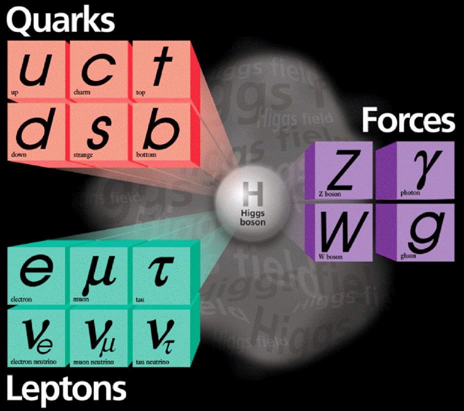 Theorie: Alle Elementarteilchen im Standardmodell wären