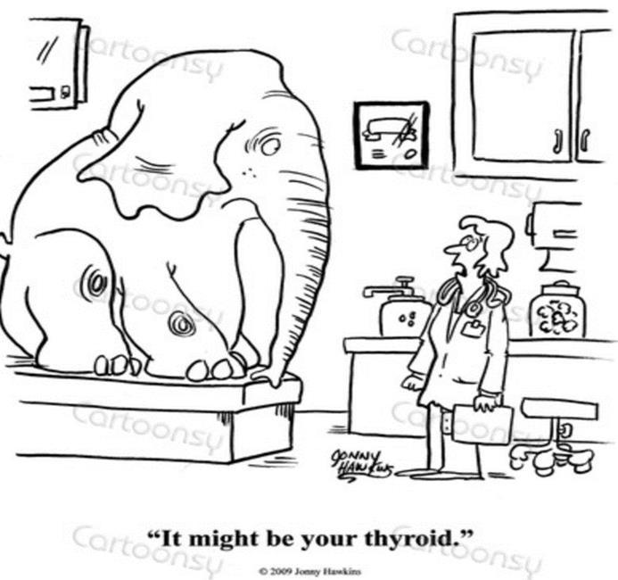 ThyPRO Hypothyroid symptoms Hypothyroid symptoms During the past four weeks have you: Been sensitive to cold?