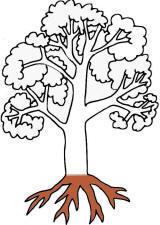 Körpersinne - Nahsinne Die Körpersinne auch Basissinne genannt, stellen die Grundlage für die gesamte Entwicklung eines Kindes dar, vergleichbar mit den Wurzeln eines Baumes.