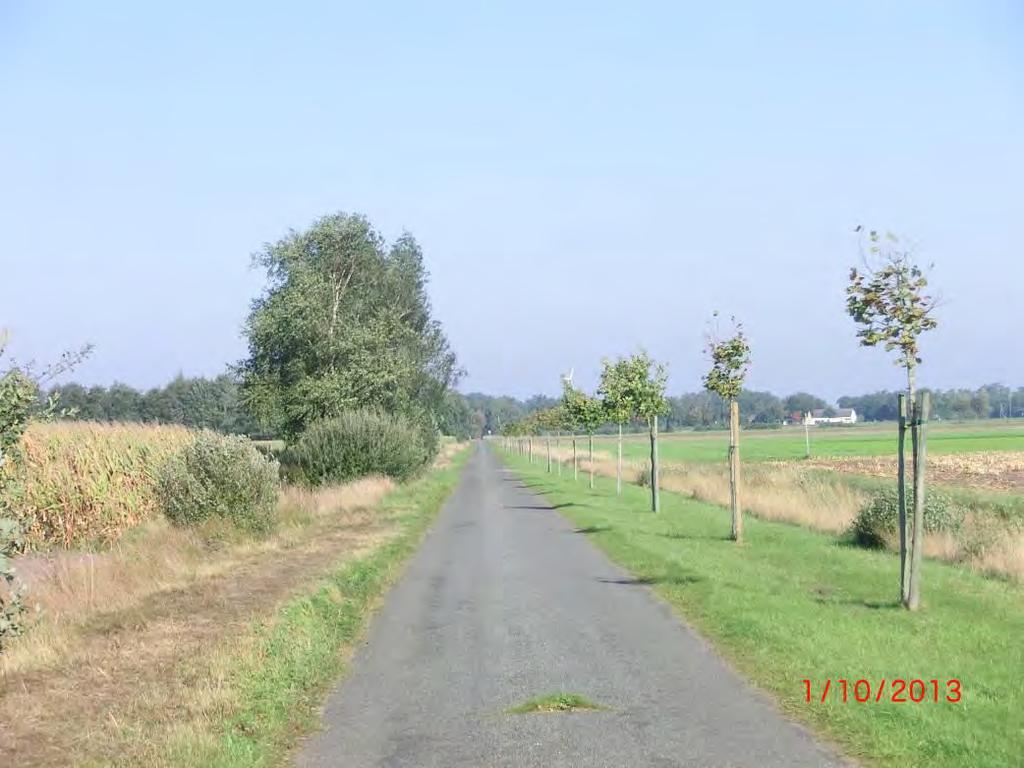 (SR 12); Bild Nr.