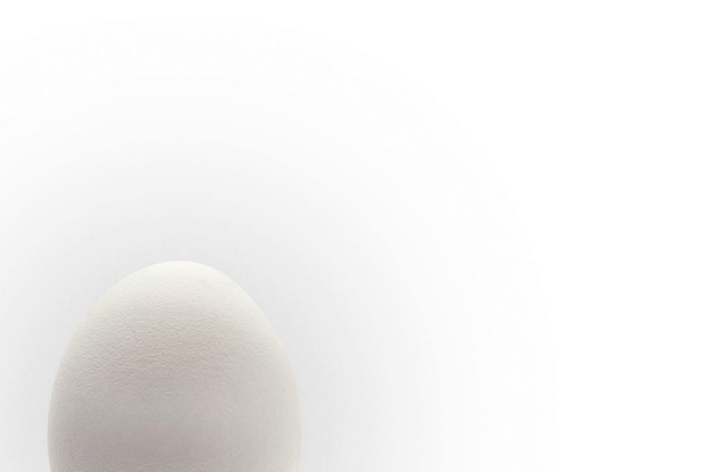 Woher kommt dieses Ei, woher jenes? 0 bis 3: Die Ziffern 0 bis 3 auf den Eiern sind Teil universeller Codes.