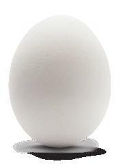 Würde man ein Ei im Detailhandel im Kühlregal lagern und für den Verkauf herausnehmen, würde das Gleiche wie bei einer Wasserflasche geschehen: Es bildet sich Kondenswasser.