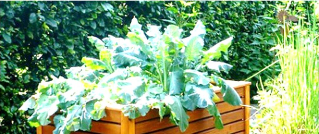 M 7 Textrechnen : Nicht für die Schüler bestimmt!!!! Aufgabe Punkte 1 Familie Fröhlich möchte zukünftig im eigenen Garten Gemüse anbauen.