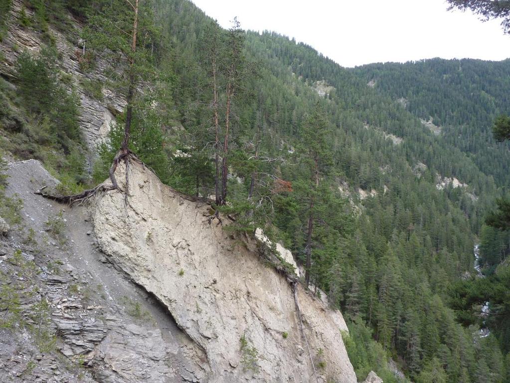 Datengrundlage: Geologie stark erosionsgefährdet