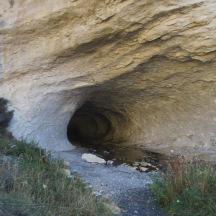 Nur ein kurzes Stück weiter die Straße entlang gefahren, gelange ich zum Cave Stream Scenic Reserve.