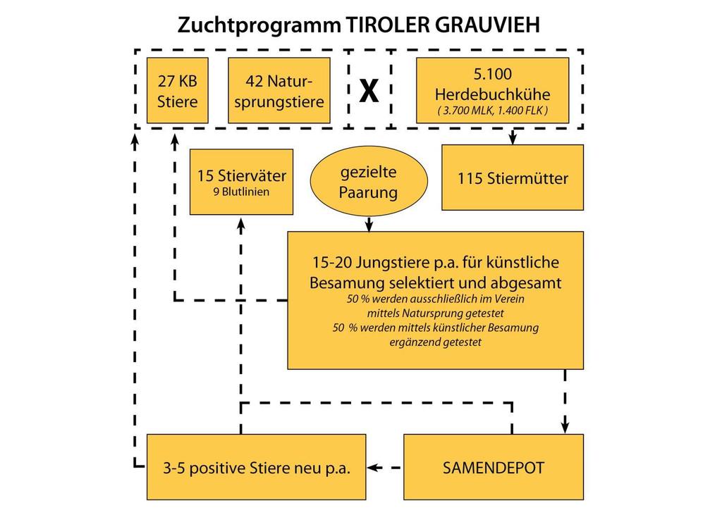 Zuchtprogramm