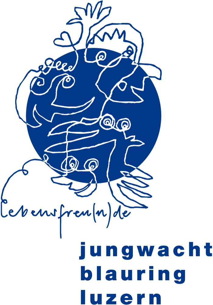 Jahresrechnung 2017 Verein Jungwacht Blauring Kanton Luzern Kassier: