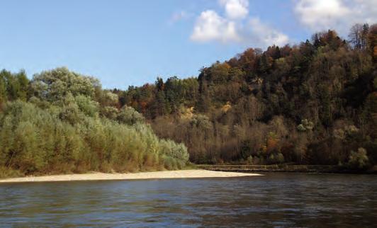 EUROPASCHUTZGEBIET Ettenau Allgemeines zum Schutzgebiet Das Gebiet erstreckt sich auf etwa 15 Flusskilometer entlang der Salzach im Tittmoninger Becken und der Nonnreiter Enge.