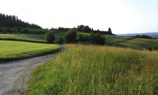 EUROPASCHUTZGEBIET Wiesengebiete im Freiwald Allgemeines zum Schutzgebiet Das Vogelschutzgebiet umfasst 26 Teilflächen im nordöstlichsten Mühlviertel.