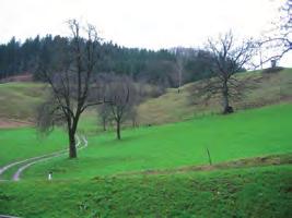 Förderungen zum Schutz der Natur Pflege ökologisch wertvoller Flächen Im Österreichischen Umweltprogramm ÖPUL wird für alle teilnehmenden Betriebe die Teilmaßnahme Pflege ökologisch wertvoller und