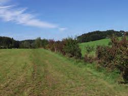, Neuanlage einer Hecke im Bezirk Braunau Naturaktives Oberösterreich Ziel dieser seit 1986 bestehenden Förderaktion ist es, neue Lebensräume für bedrohte Pflanzen- und Tierarten zu schaffen.