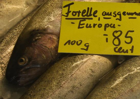 h) Unzulässige Angabe der Herkunft Bei Fischereierzeugnissen aus Aquakultur ist das