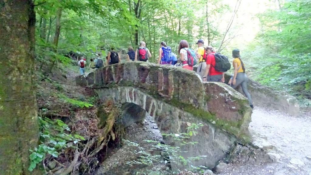 Wie der Elefant ist auch diese römische Brücke ein Relikt aus dem späten 19.