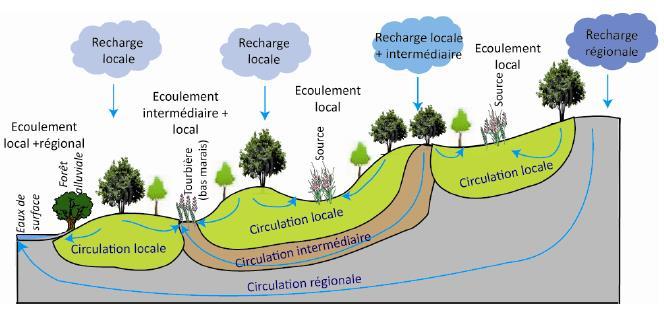Grundwasser-abhängige Ökosysteme