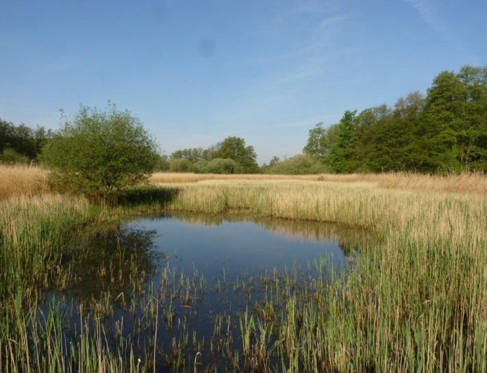 NATURA 2000, Klimaschutz und