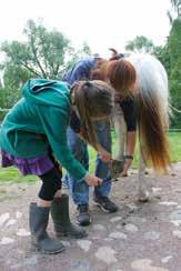 ! 1 Die Vorbereitung: Arbeiten rund ums Pferd Die Vorbereitungszeit lässt sich für die pädagogische und therapeutische Arbeit sehr gut nutzen.
