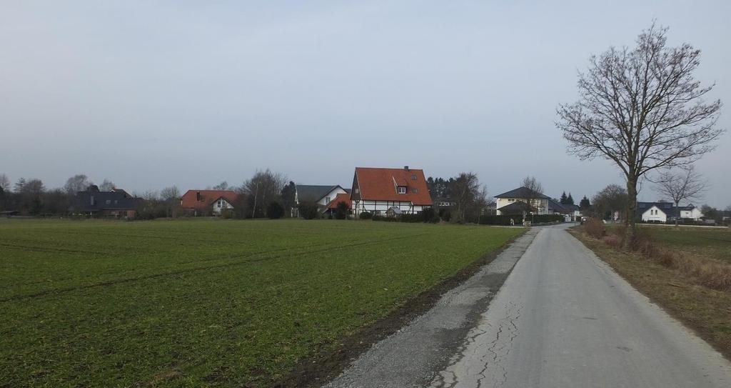 Abbildung 6: Blick vom namenslosen Feldweg auf die zwei südlich geplanten Baugrundstücke. 3.