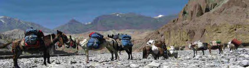 Natürlich befinden wir uns auch kulturell im Tibetischen Kulturkreis, aufgrund seiner speziellen geographischen Lage wurde Mustang jedoch nie von Lhasa aus verwaltet und war eines der berühmten