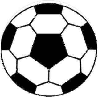 SV Oberschöna 1902 Abt. Fußball Die 1.
