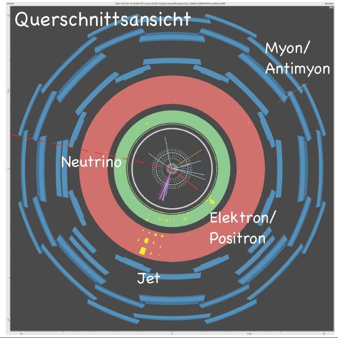 Teilchenspuren: Übersicht Spurdetektor